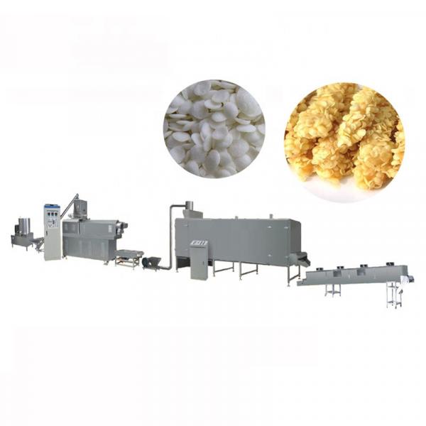 Double Screw Extruder Bread Crumb Machine Production Line #2 image