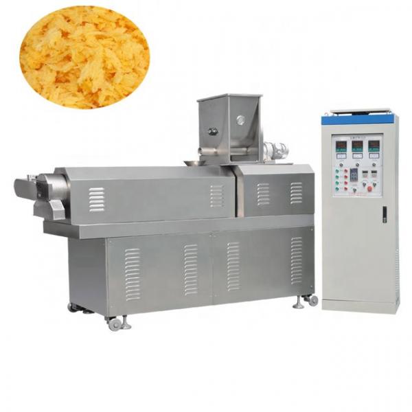 Double Screw Extruder Bread Crumb Machine Production Line #3 image